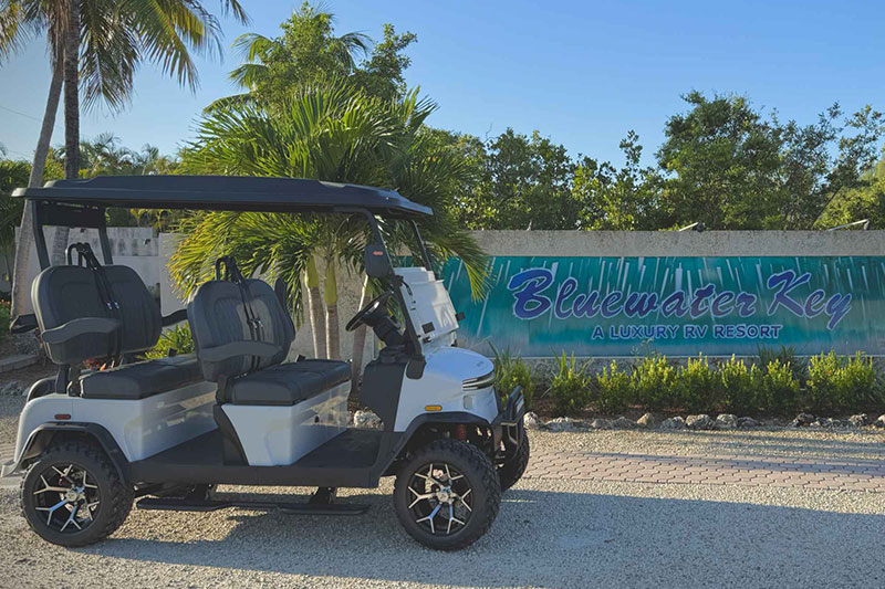4 Seater Golf Cart