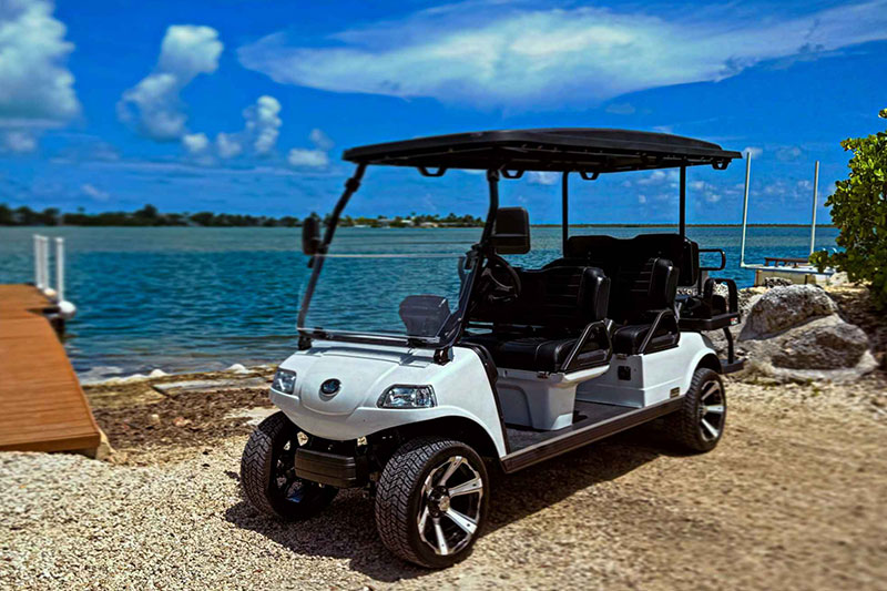 6 Seater Golf Cart